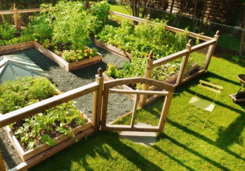 How to Install a Vegetable Garden for a Beautiful and Functional Backyard